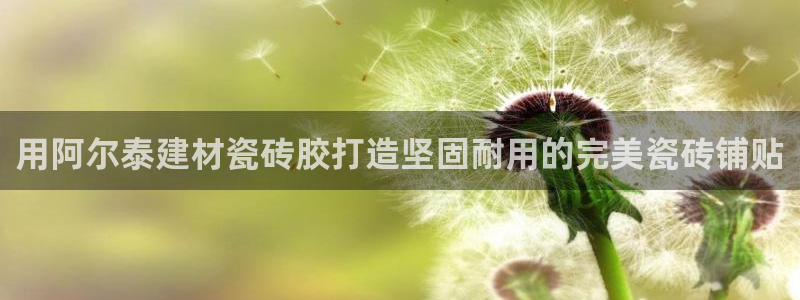 杏鑫平台代理怎么做赚钱
