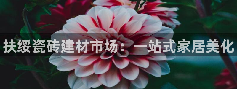 杏鑫平台测速