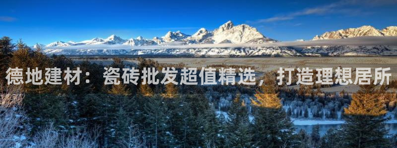 杏鑫有亏损返点吗