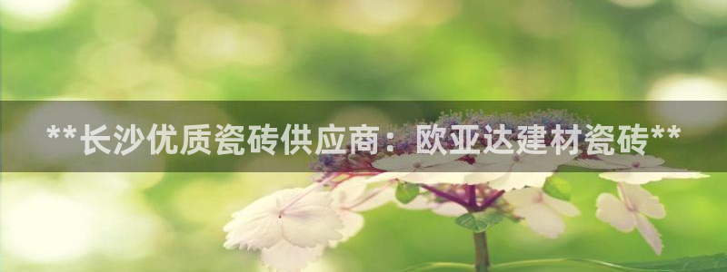 杏鑫平台招商电话号码查询