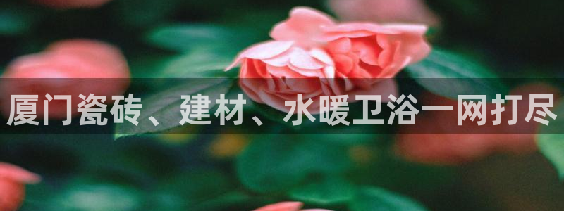 杏鑫平台代理怎么做赚钱