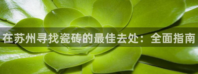 杏鑫官网注册账号密码是什么