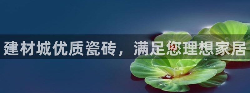 杏鑫官方平台怎么样啊