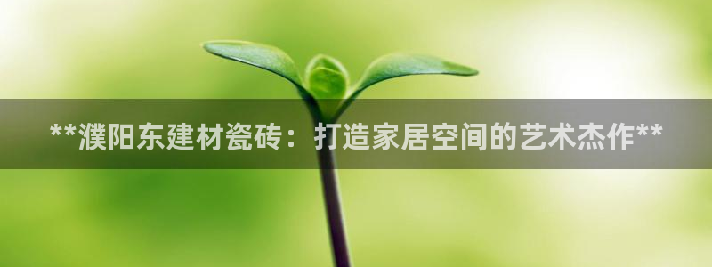 杏鑫平台代理怎么做