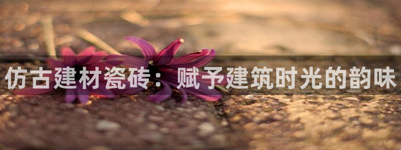杏鑫平台招商电话号码查询