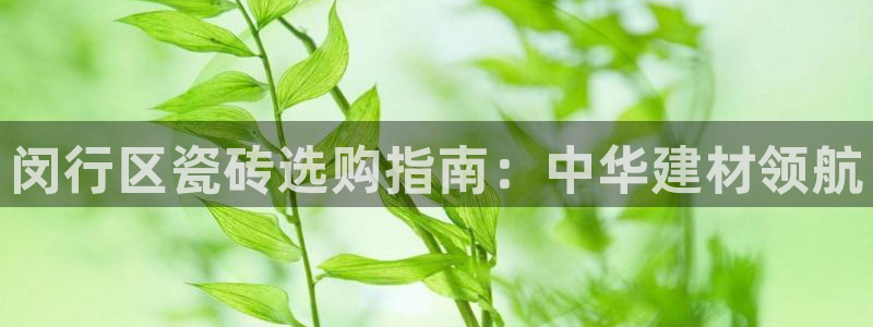 杏鑫官网注册账号是什么样的