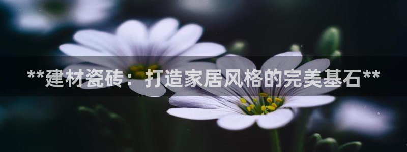 杏鑫官网注册账号是什么意思