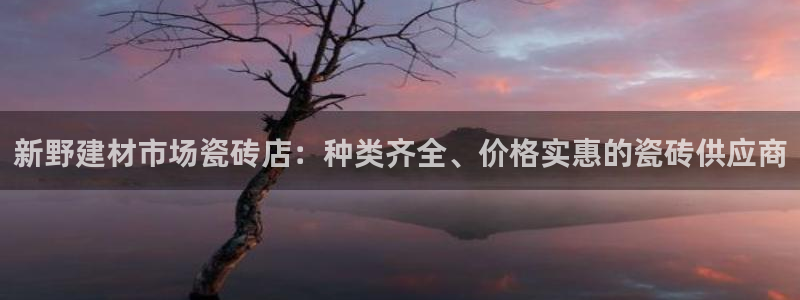 杏鑫代理注册平台