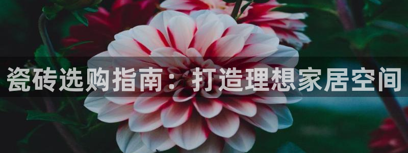 杏鑫平台正规吗可信吗
