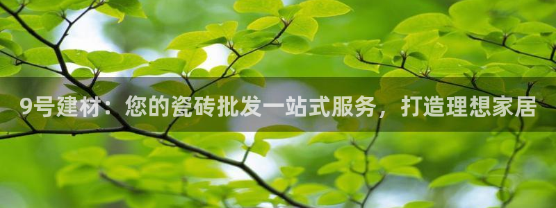 杏鑫代理注册平台
