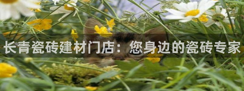 杏鑫平台怎么样黑钱吗安全吗