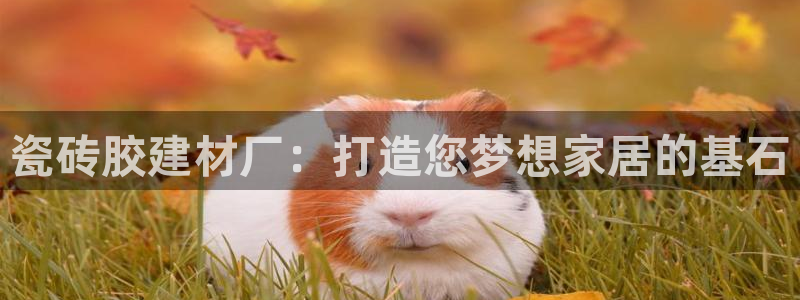 杏鑫注册登录代理