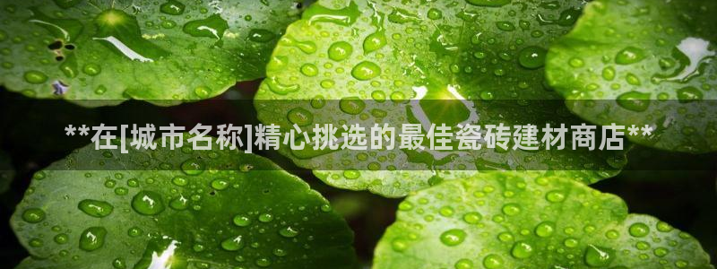杏鑫平台注册网址是多少