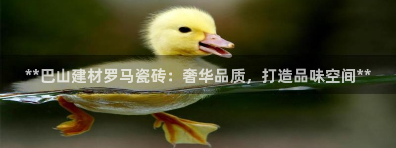 杏鑫平台招商电话是多少