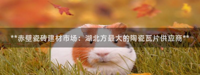 杏鑫娱乐怎么样