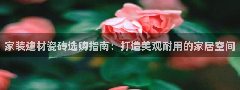 杏鑫登录测速