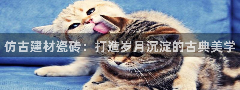 杏鑫注册平台官方网站是什么
