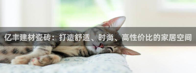杏鑫官方app代理