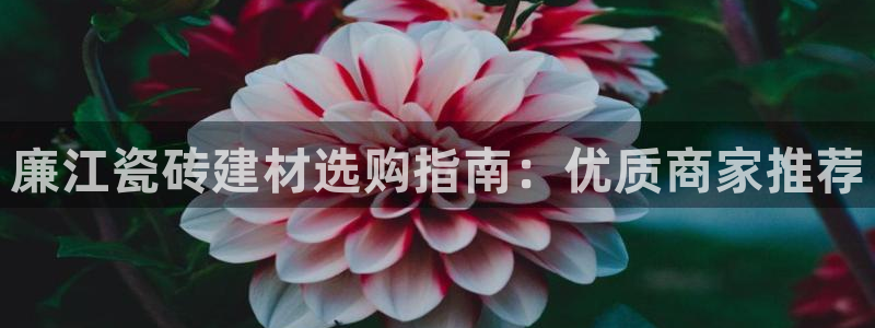 杏鑫娱乐怎么下
