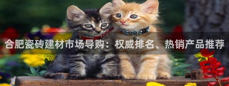 杏鑫官网最新信息