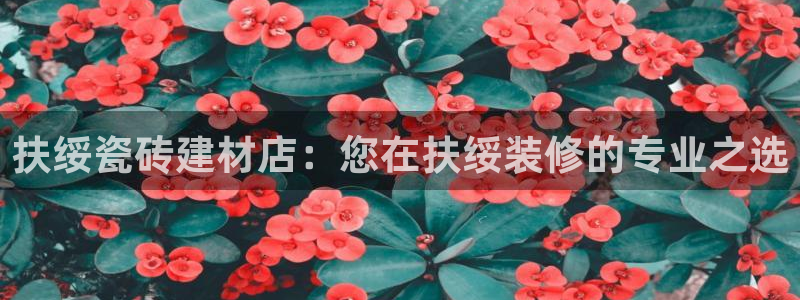 杏鑫3主管