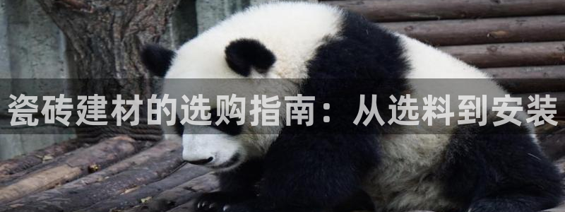 杏鑫娱乐官网首页
