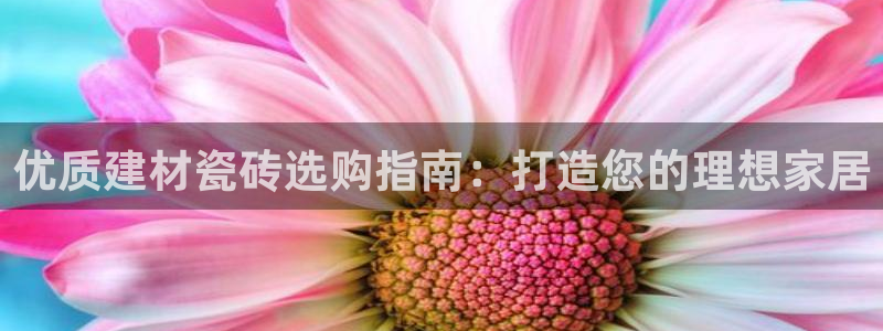 杏鑫平台怎么样黑钱吗安全吗