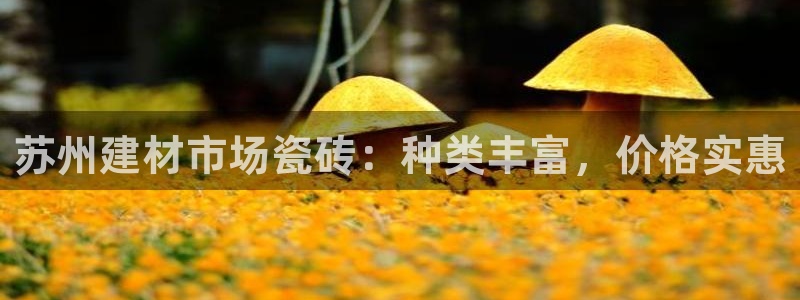 杏鑫平台代理怎么做