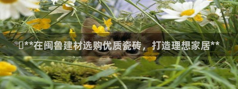 杏鑫平台注册网址查询