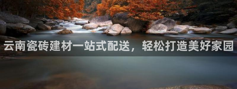 杏鑫注册平台官方网站是什么