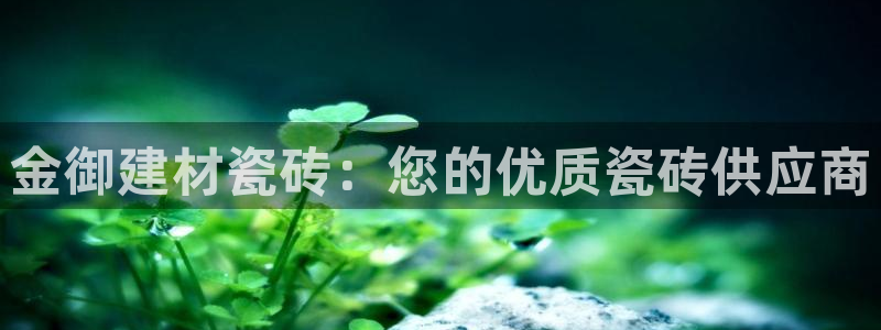 杏鑫平台测速怎么样