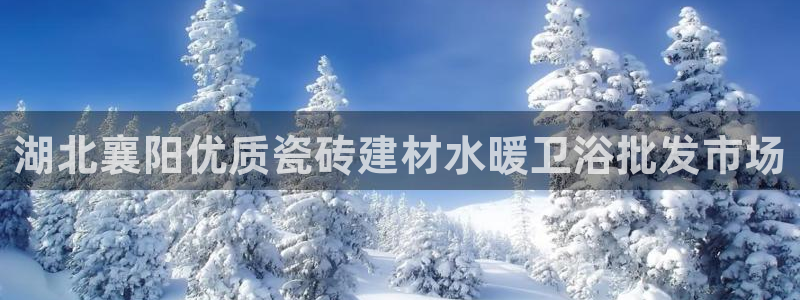 杏鑫娱乐多少年了