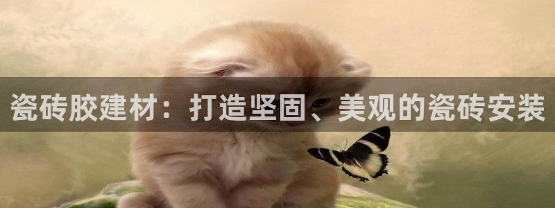 杏鑫娱乐怎么样