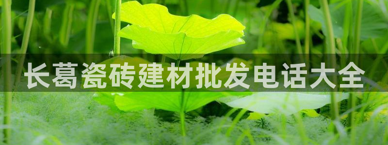 杏鑫官方平台怎么样可靠吗
