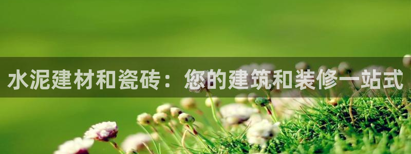 杏鑫平台代理怎么样