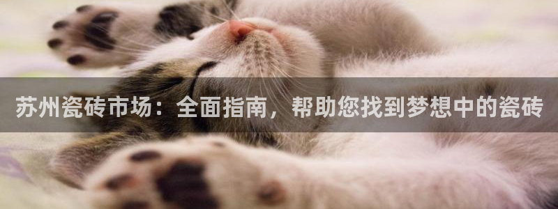 杏鑫平台招商怎么样