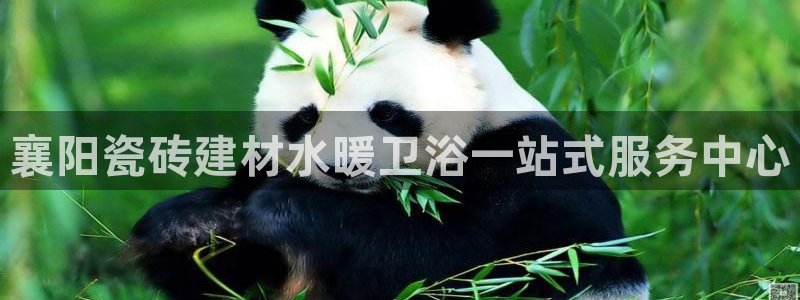 杏鑫官方平台怎么样