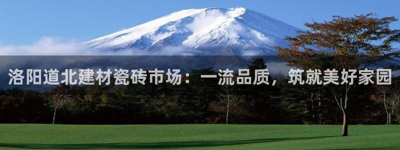 杏鑫注册登录代理公司