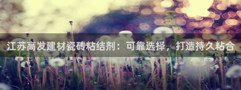 杏鑫手机客户端