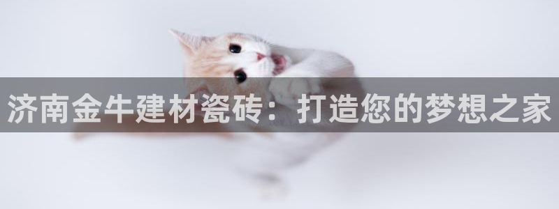 杏鑫平台代理注册多少钱啊