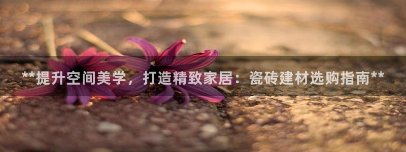 杏鑫平台怎么样知乎