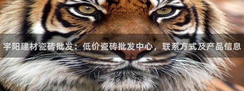 杏鑫平台野马联盟