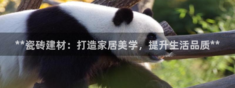 杏鑫官方平台怎么样啊可靠吗