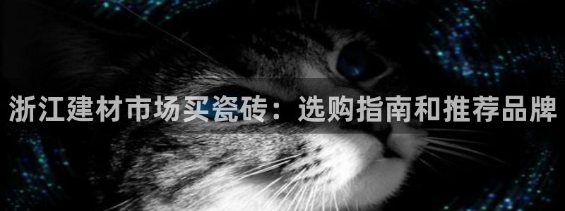 杏鑫平台登录地址是什么