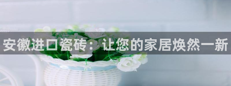 杏鑫平台代理怎么样