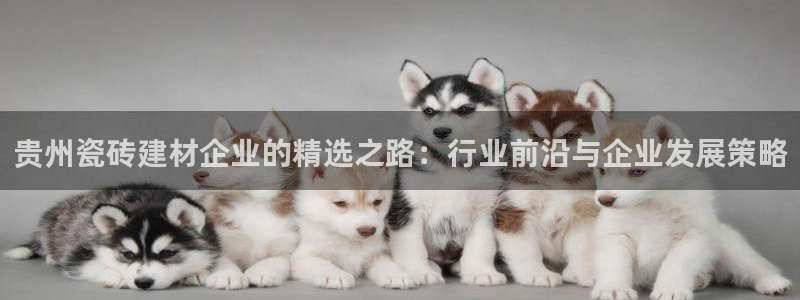 杏鑫平台代理怎么样赚钱
