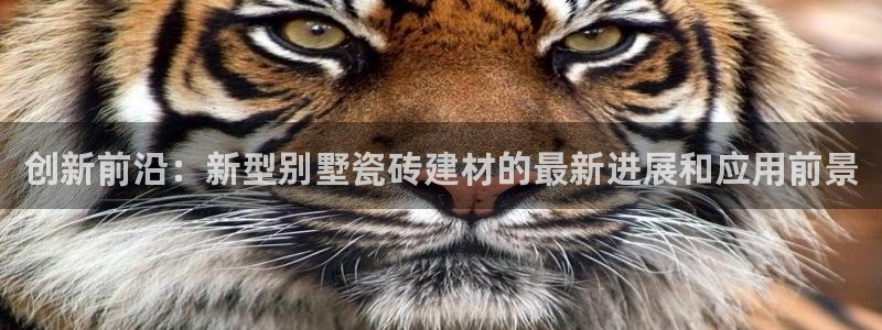 杏鑫娱乐官方网站客户端下载