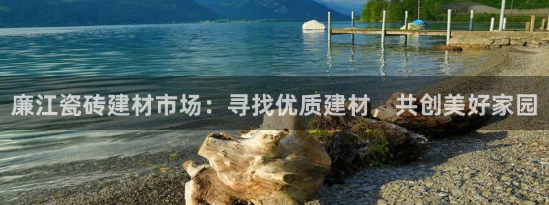 杏鑫平台怎么样黑钱吗是真的吗知乎
