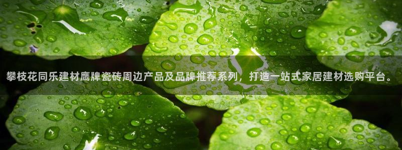 杏鑫平台招商