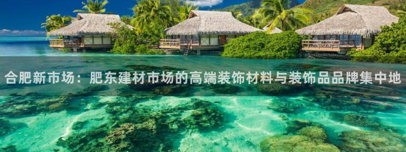 杏鑫平台官方网站
